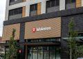 Lululemon stock crash: from a shining star to a fallen angel