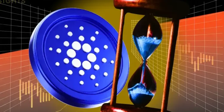 Cardano Founder Reveals Midnight’s NIGHT Token Launch Date