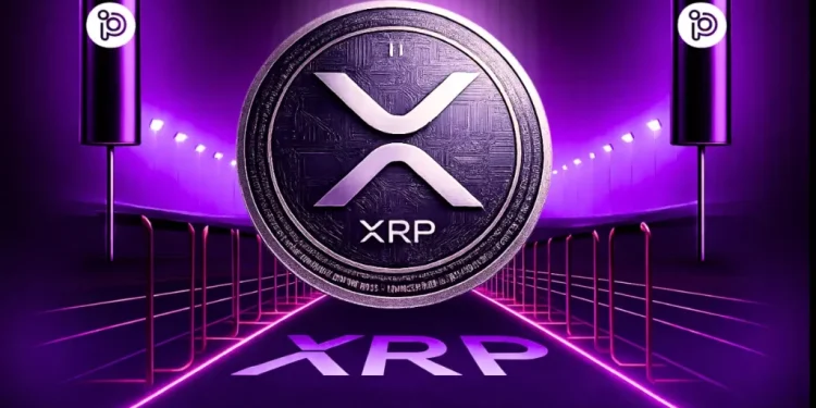 Mega Whales Turned Bearish: Is $1.00 the Real Risk Level for XRP price?