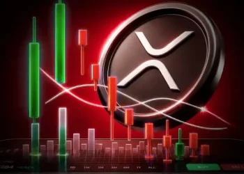 XRP Price Nears Capitulation Zone as Whale Accumulation Builds